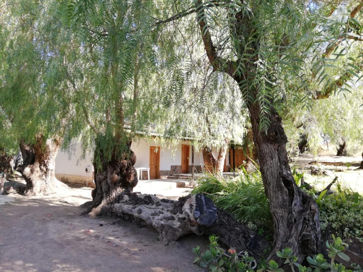 Doornfontein Guest Farm Hotel Крадък Екстериор снимка